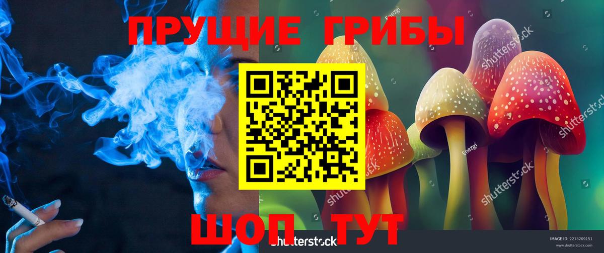 Галлюциногенные грибы MAGIC MUSHROOMS Нефтекумск