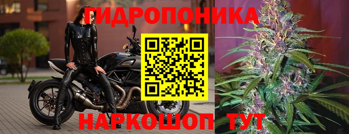 Марихуана LSD WEED  Канабис AK-47  Нефтекумск  Вход с VPN  Марихуана сатива 